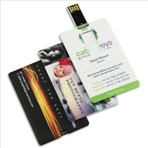 USB thẻ MS 13141