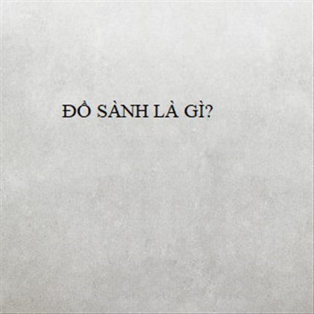ĐỒ SÀNH LÀ GÌ? MS 23305