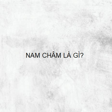 NAM CHÂM LÀ GÌ? MS 23599