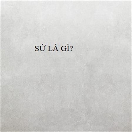 SỨ LÀ GÌ? MS 23304