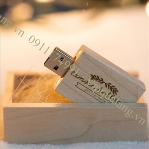 USB Gỗ MS 16816