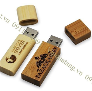 USB Gỗ MS 16822