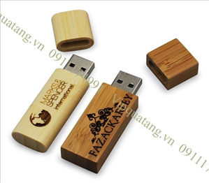 USB Gỗ MS 16828