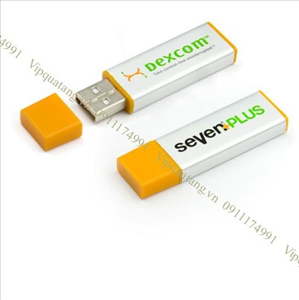 USB Nhựa MS 16855