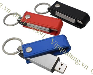 USB Nhựa MS 16863