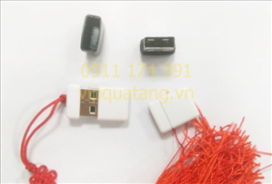 USB nhựa MS 6171