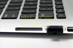 USB nhựa MS 6194