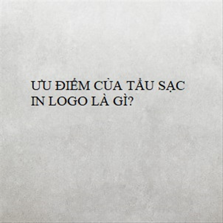 ƯU ĐIỂM CỦA TẨU SẠC IN LOGO LÀ GÌ? MS 23291